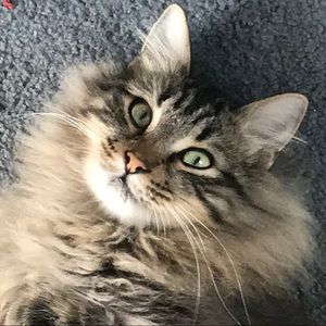 Meet your Posher, Beth